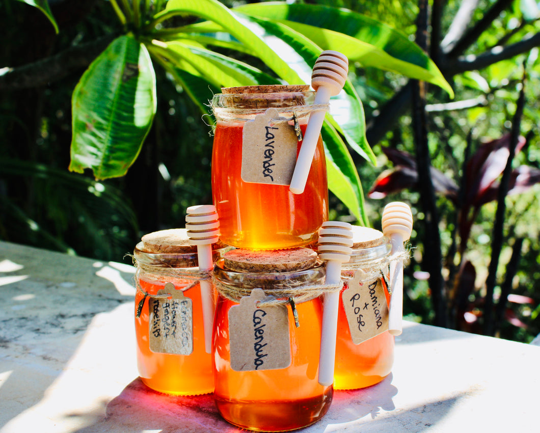Herbal infused honey ~ Echinacea flower + rose hip + ginger